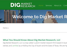 Dig Market Research Website